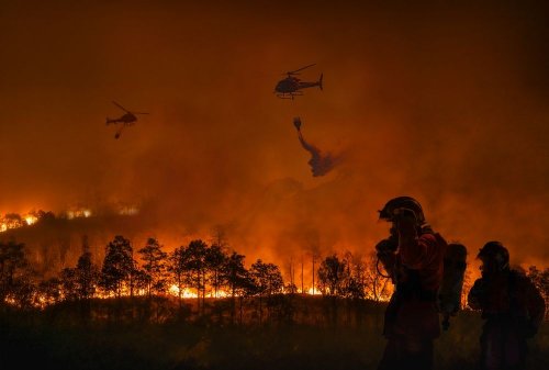 В Україні масово спалахують пожежі