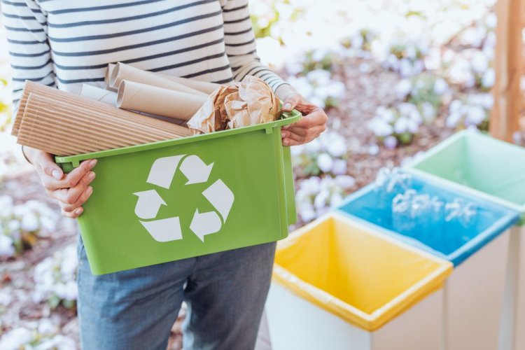 Berlin shares experience: waste sorting will be taught in Rivne