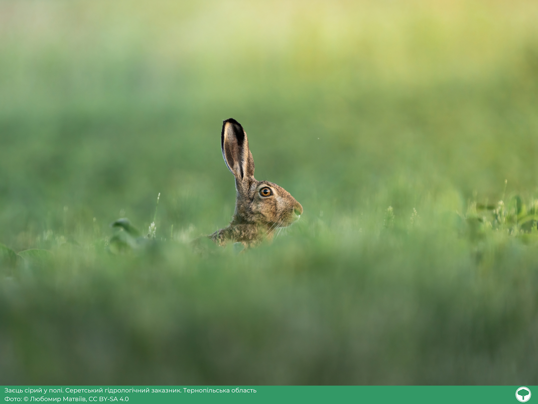 wikilovesearth.org.ua