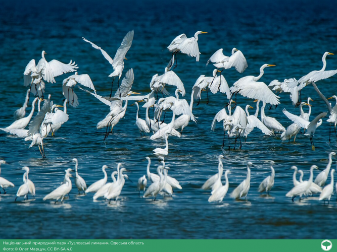 Неймовірна природа України на фото: переможці Wiki Loves Earth-2025