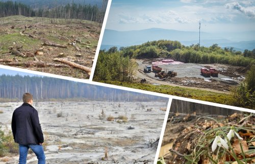 100 days of the expanded Ministry of Economy: how the environment became a statistic in the economic theater