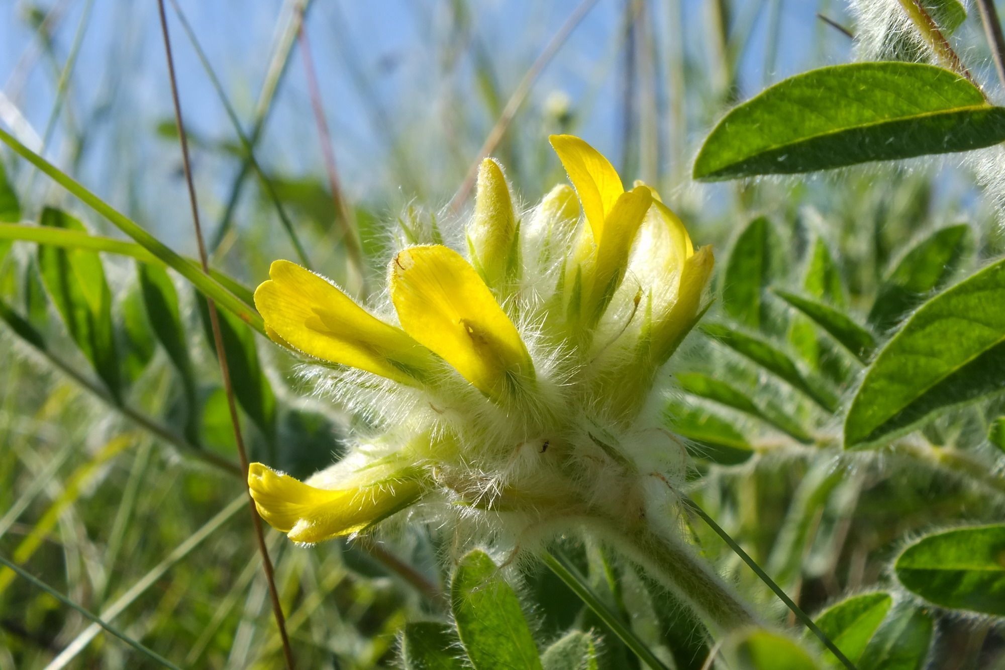 facebook.com/kekz.ua