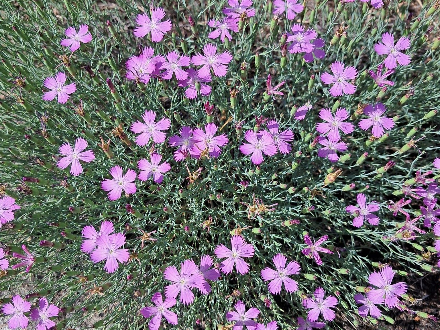 facebook.com/kekz.ua