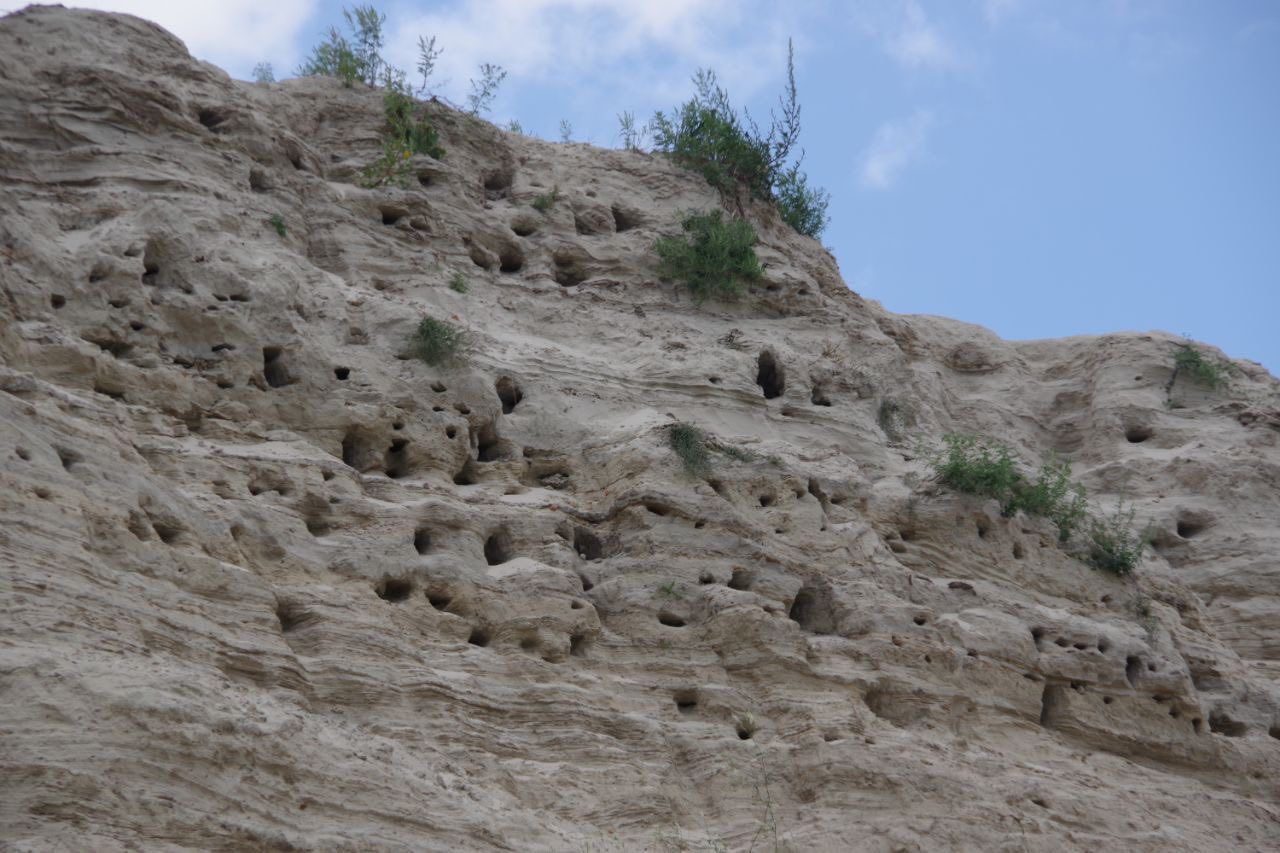 facebook.com/nas.lis.881725