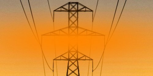 Черговий раунд для забудови Руни: ліс на Закарпатті обстежать під будівництво ЛЕП