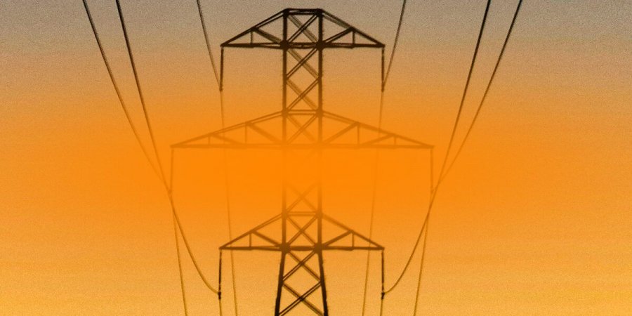 Черговий раунд для забудови Руни: ліс на Закарпатті обстежать під будівництво ЛЕП