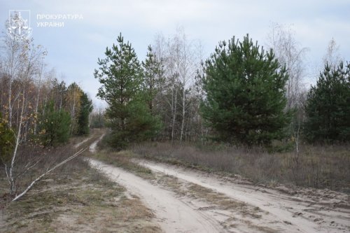 Нацпарк в "оренду", рубка дерев на мільйони: дайджест екозлочинів за 1-7 листопада