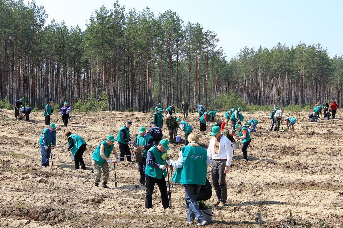 State Forest Resources Agency of Ukraine