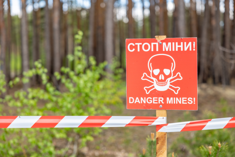 Almost half a million hectares of Ukrainian forest are mined. How do they plan to clear them?