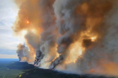 "Зомбі-пожежі" знищують північні ліси. Чому так відбувається і чим це загрожує планеті