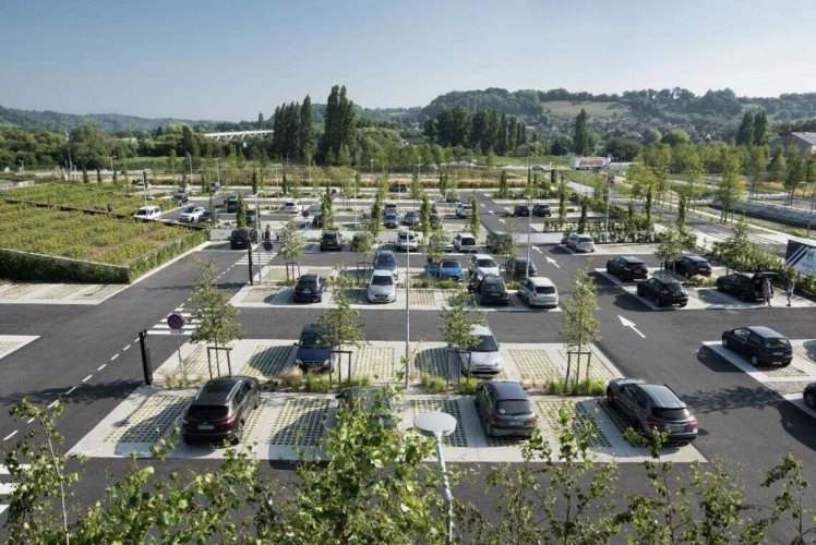 У Львові для боротьби зі спекою на парковках висаджуватимуть дерева