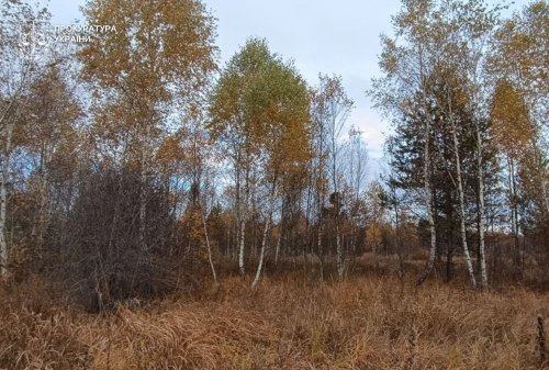 Боротьба за заповідники, "соснова" контрабанда, розорення надр – дайдежст екозлочинів