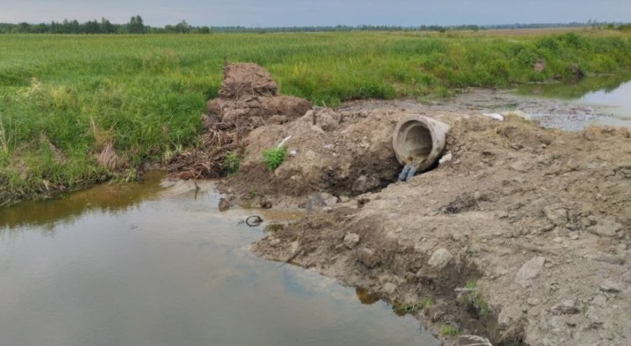 Канал замість річки: екоактивісти відстояли збереження річок Житомирщини від дій фермерів