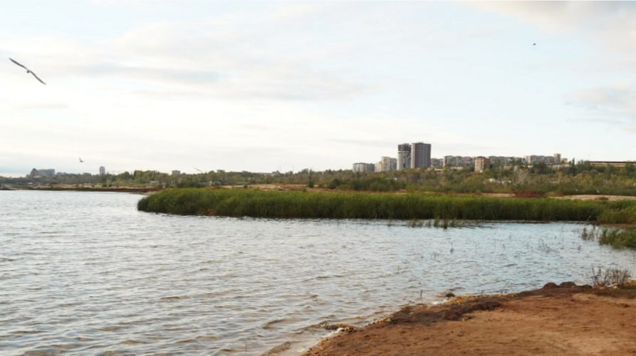 Heavy metal filter: the banks of Zaporizhia's "Red River" are overgrown with willows