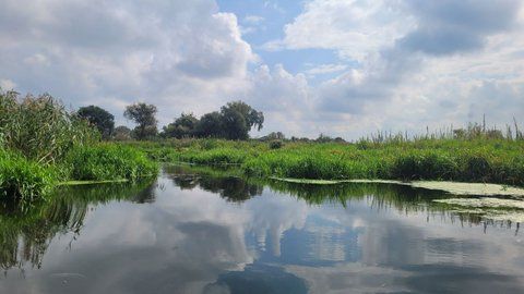 Річкові плавні на Рівненщині можуть отримати статус заказника