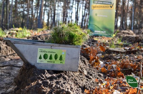 Мільярдне дерево "Зеленої країни" висадили на території Головного військового шпиталю