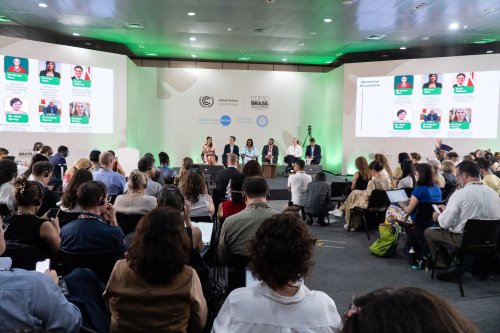 Найбільший механізм захисту лісів та інші нові інструменти з охорони природи на СОР30