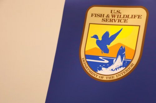 У США зникаючі види тварин залишаться без захисту