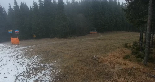 Глобальное потепление сорвало лыжный сезон в украинских Карпатах