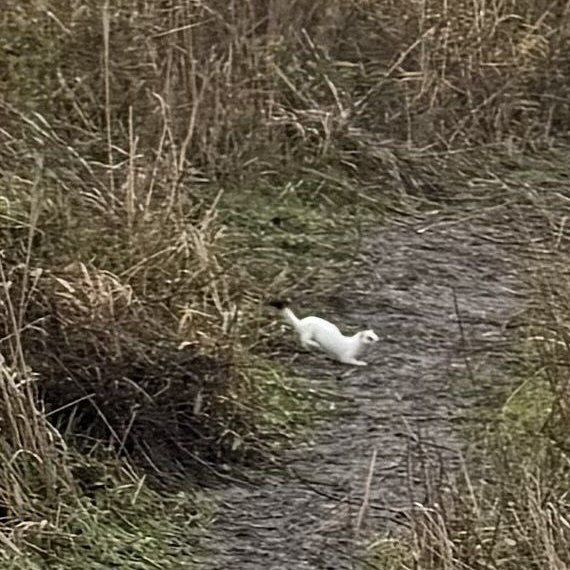 facebook.com/nizhnednestrovsky