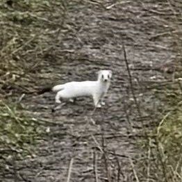 facebook.com/nizhnednestrovsky