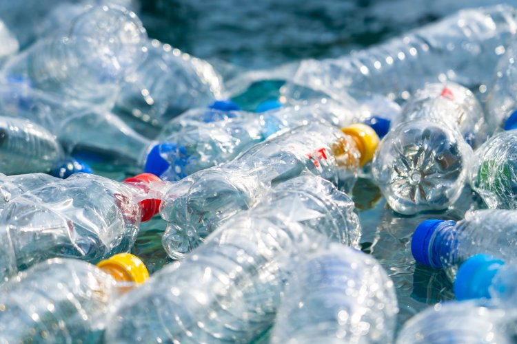 Сміттєвоз пластику щосекунди: світу потрібна термінова "пластикова трансформація" – дослідження