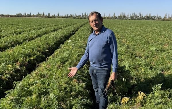 На Миколаївщині відновили меліорацію понад 300 га сільгоспугідь