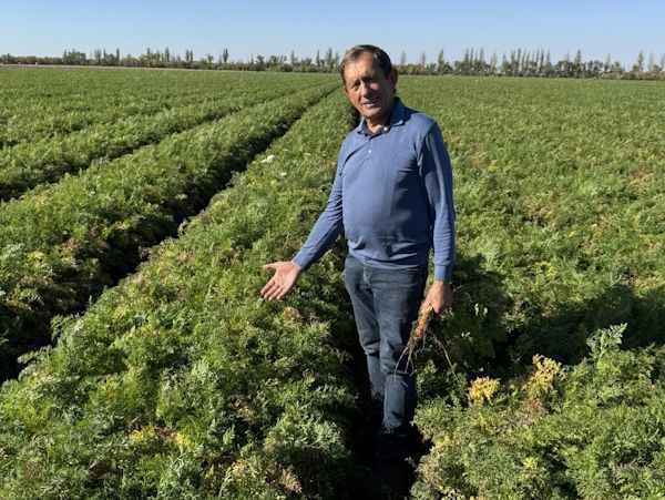 На Миколаївщині відновили меліорацію понад 300 га сільгоспугідь