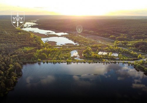 Винищення дерев на мільйони та знищення ставків – дайджест екозлочинів від ЕкоПолітики