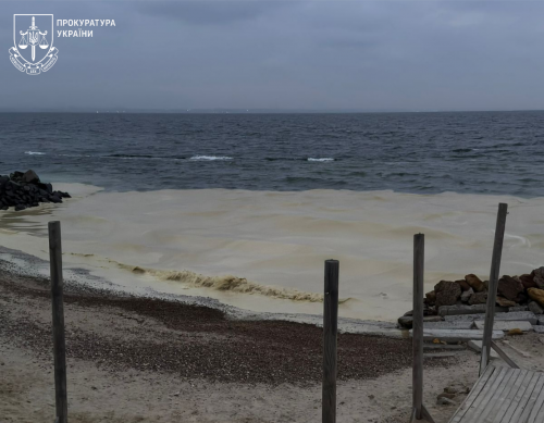 Хто загострив "олійну" екокатастрофу на Одещині? Науковці вимагають розслідування дій ОВА