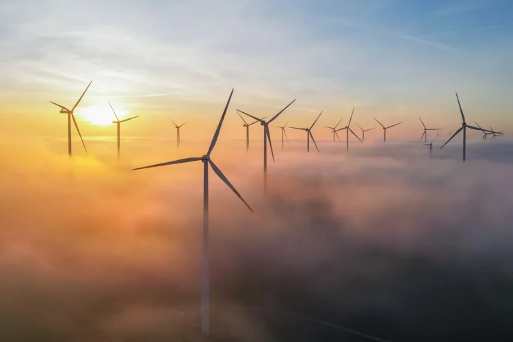 Зростання ВДЕ, екоможливості ШІ, кліматичні політики держав – про екоуспіхи 2025 року