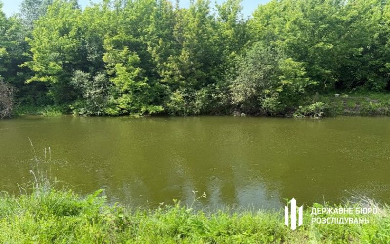 Десятки мільйонів на деревині, заволодіння заповідними землями – дайджест екозлочинів