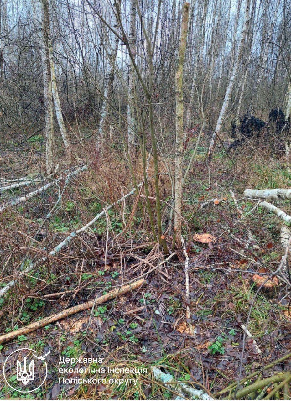 t.me/polissyareg_dei