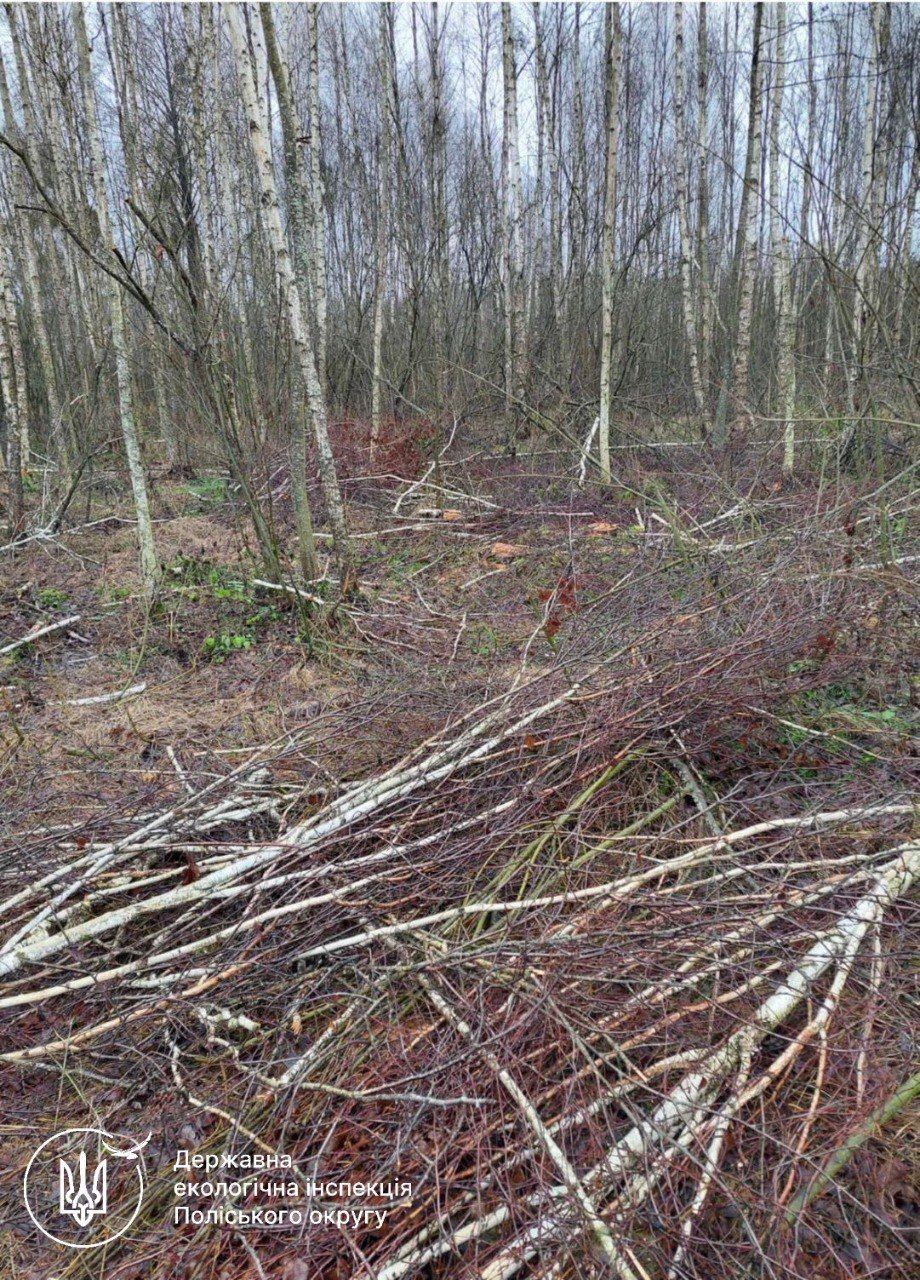 t.me/polissyareg_dei