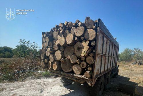 Абонементи для браконьєрів, вирубка лісів та забруднення: дайджест екозлочинів