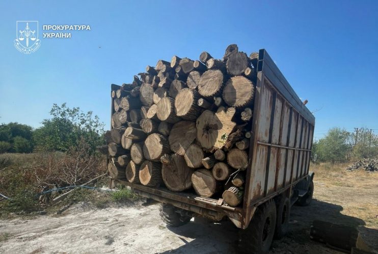 Абонементи для браконьєрів, вирубка лісів та забруднення: дайджест екозлочинів