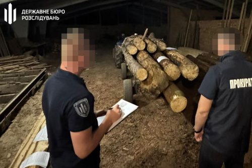 Вымогательство взяток, загрязнение экологии и незаконная добыча: экопреступления недели