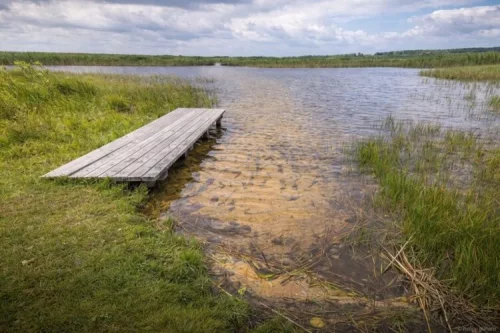 На Волині майже 20 тисяч гектарів лісів та озер віддали брокерській фірмі