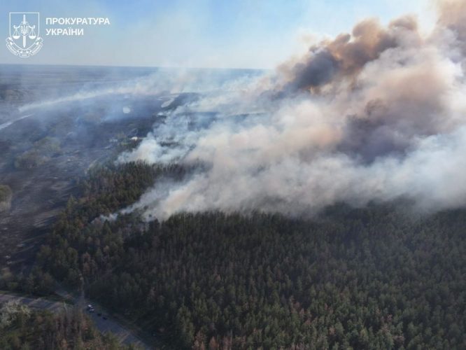 Пожежі, забруднення та "традиційна" вирубка лісів – дайджест екозлочинів тижня