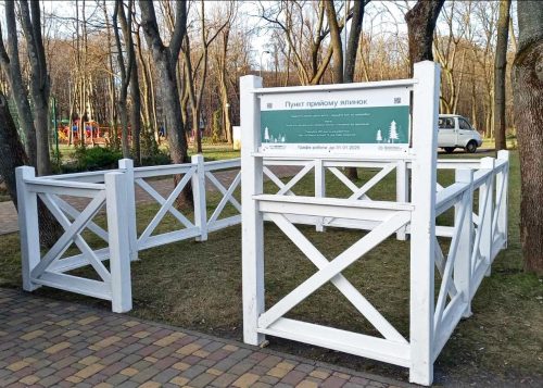 Де у Києві здати новорічні ялинки на екологічну утилізацію?