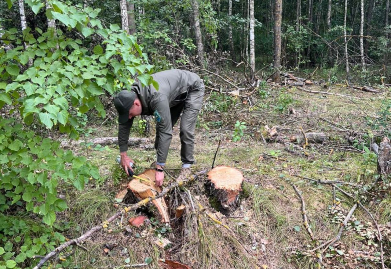 polissyareg.dei.gov.ua