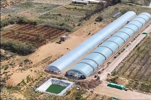 China uses microalgae to restore deserts