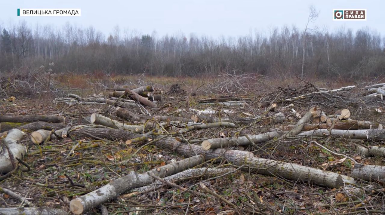 youtube.com/@sylapravdy