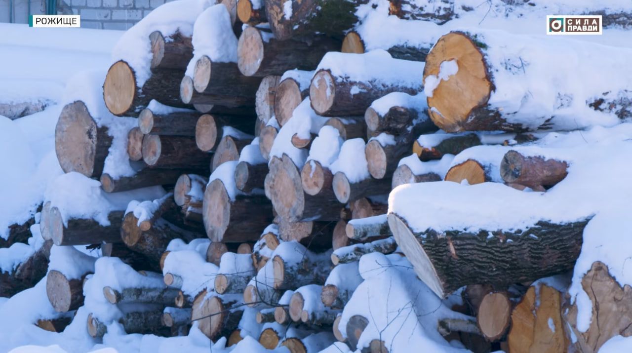 youtube.com/@sylapravdy