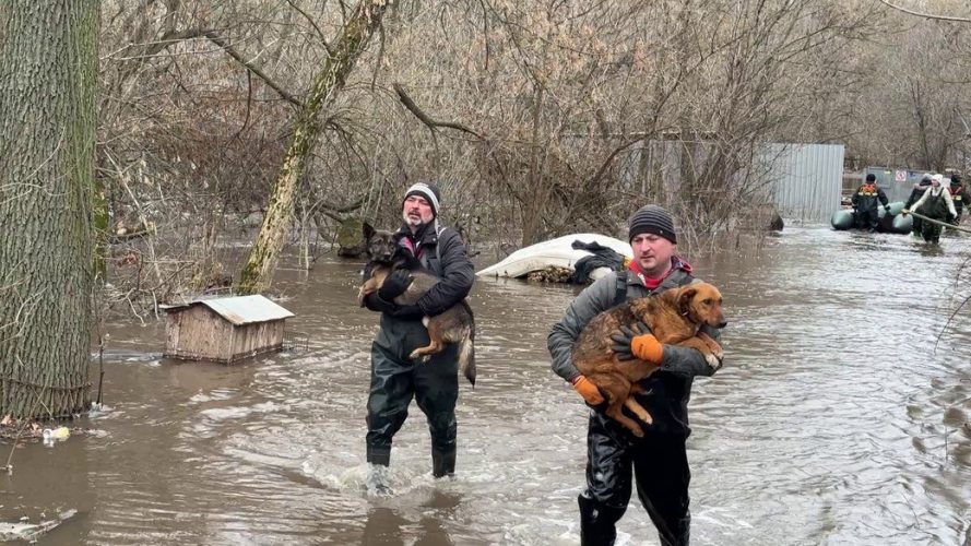 Украина в ожидании масштабных весенних паводков. Под угрозой – сотни городов и сел