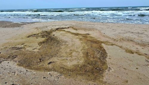 Олія після атаки рф мандрує Чорним морем. Постраждав нацпарк на Одещині