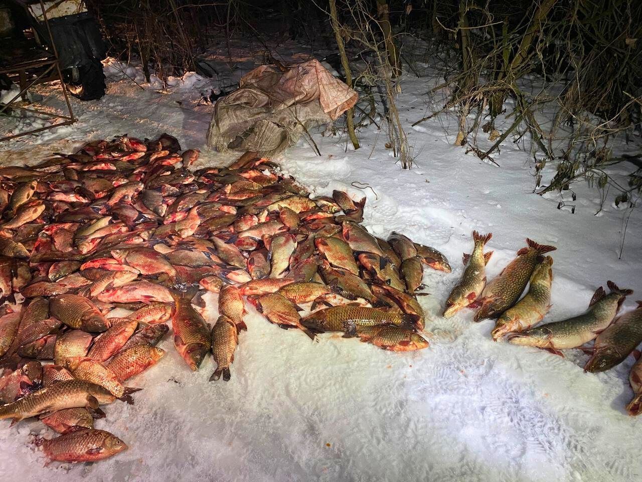 /www.facebook.com/deicentr/