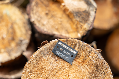 Учет древесины: в Украине заработал механизм исправления данных в ЭУД