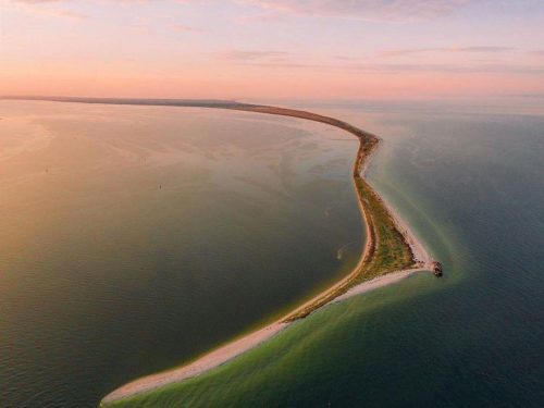 Ворог окупував 272 тис. га морських заповідників України – НАН  