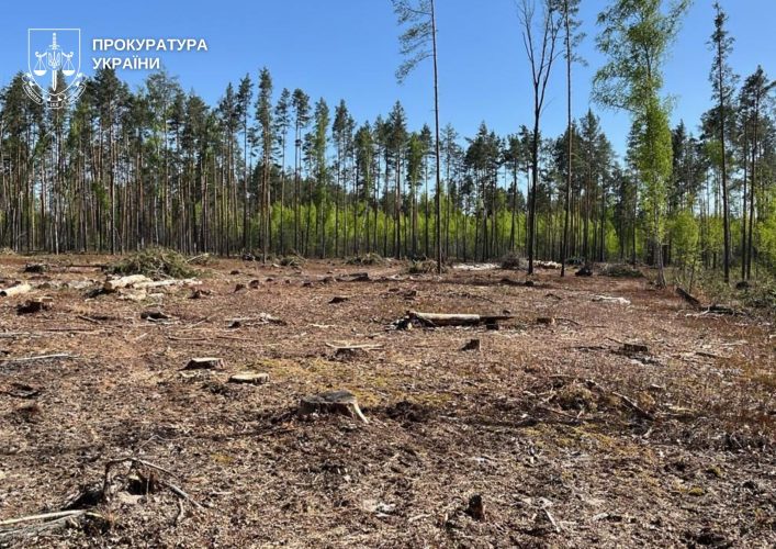 Дайджест екозлочинів тижня: пісок на мільярди, заповідна земля та винищення дерев